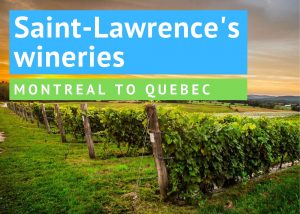 saint-lawrence by bike - Saint-lawrence's wineries by bike - quebec by bike