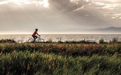 Le long du Saint-Laurent, à vélo et au rythme des villages